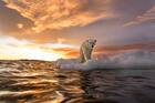 Did global warming start in 1885? New study says climate change began long before cars