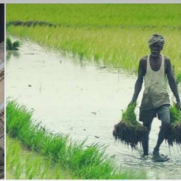 Andhra Pradesh: ఏపీ రైతులకు అదిరిపోయే వార్త...లక్షన్నర నుంచి రెండు లక్షల వరకు..!
