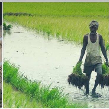 andhra Pradesh: అన్నదాత సుఖీభవ పథకం....మీకు వచ్చాయో రాలేదో ఇలా తెలుసుకోండి..రాకపోతే ఇలా చేయండి..!