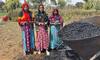 Farming Carbon, Growing Change: KriSHE Carbon Reinvents Rural India’s Future through SoilBox-Backed Climate Ac