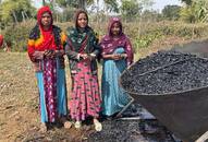 Farming Carbon Growing Change KriSHE Carbon Reinvents Rural Indias Future through SoilBox Backed Climate Ac