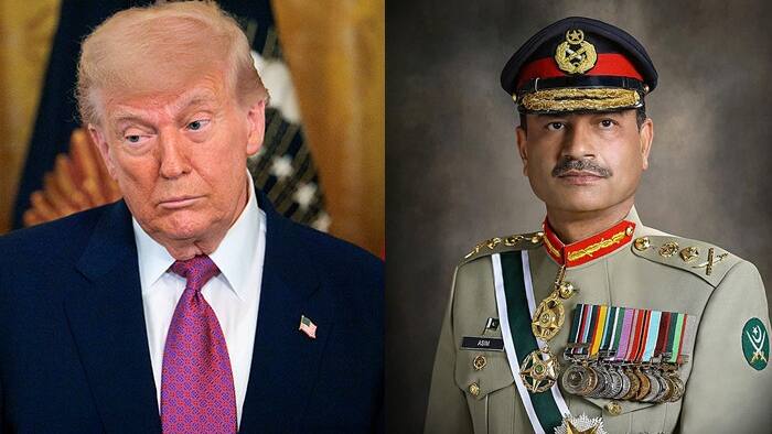 Trump Munir