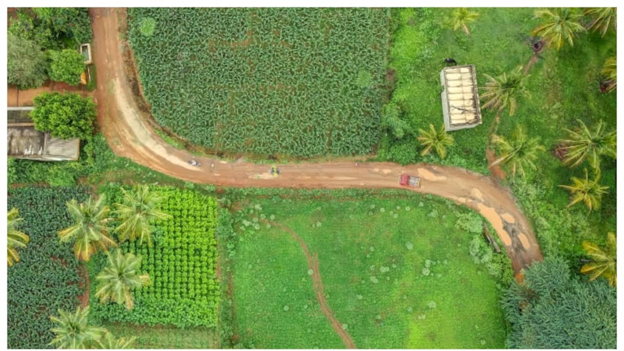 Land