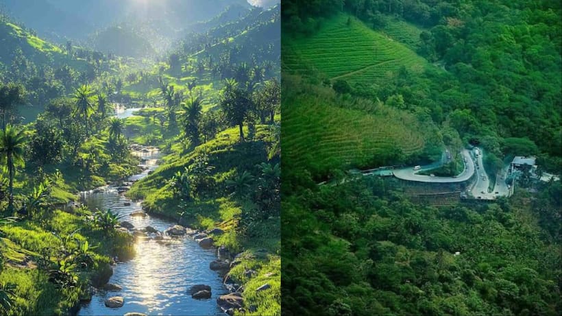 Kerala Wayanad travel guide