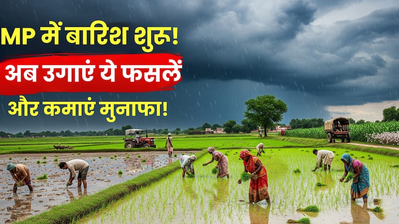 best monsoon crops mp farming profit 2025