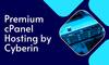Smart cPanel Hosting by Cyberin for 2025 Biz