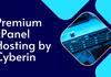 Smart cPanel Hosting by Cyberin for 2025 Biz