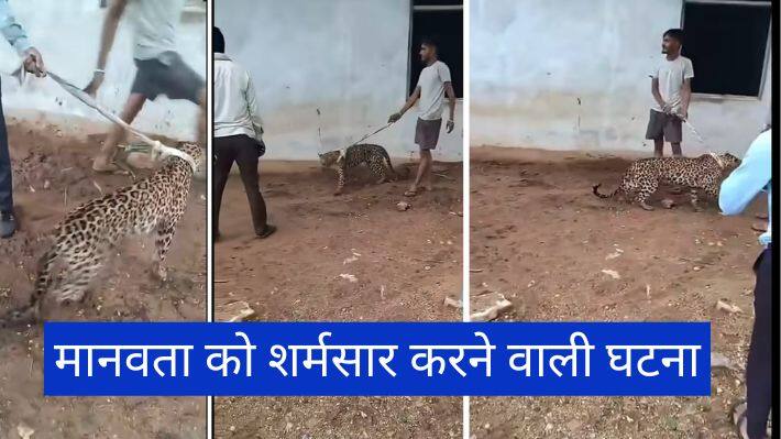 bundi  news