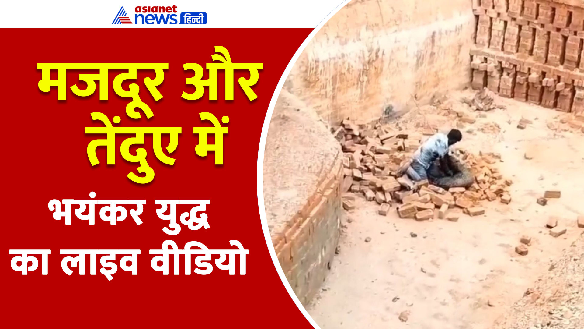 लखीमपुर खीरी: तेंदुए से भिड़ा मजदूर, Video शेयर कर Akhilesh Yadav ने योगी सरकार को धो डाला