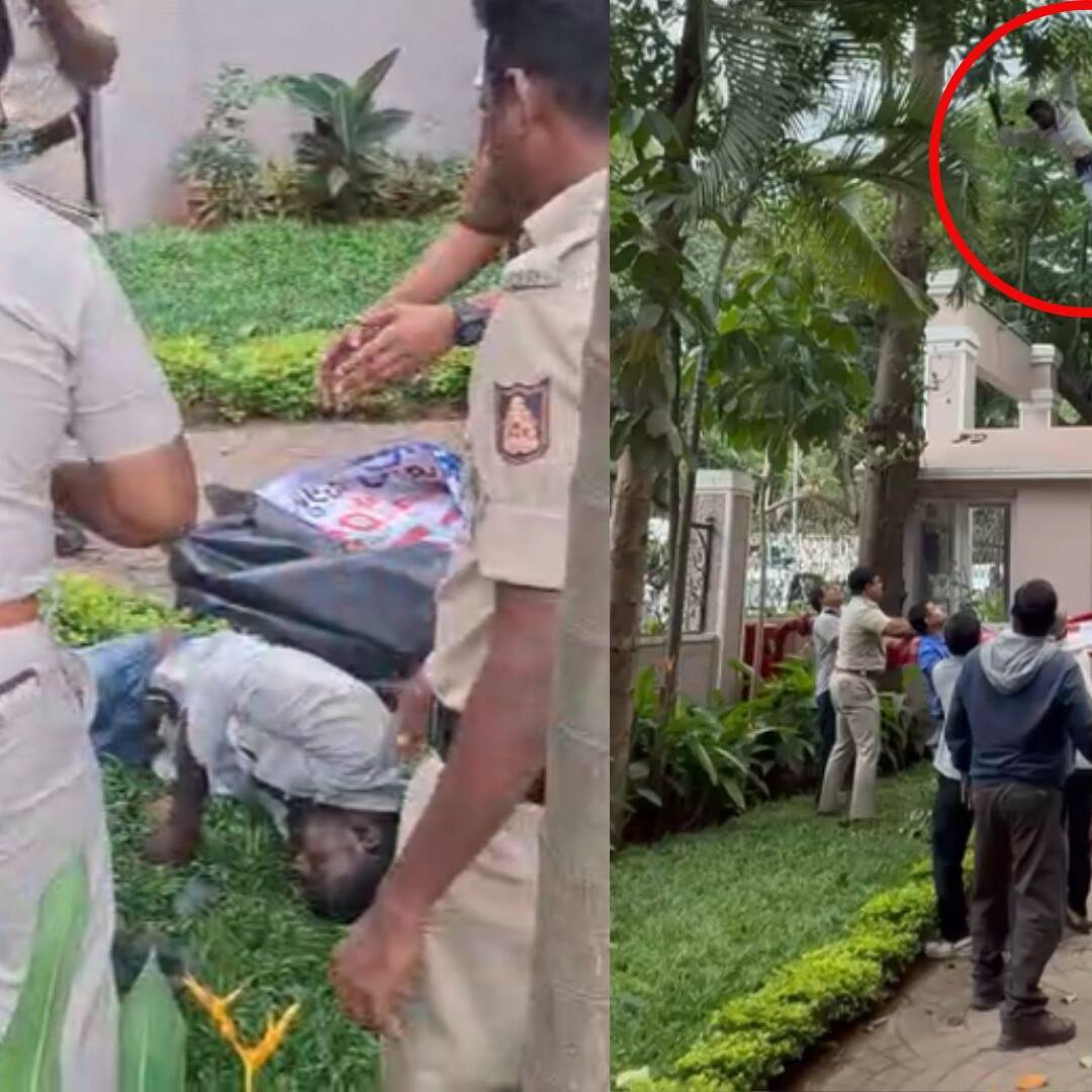 Bengaluru: Drunk man jumps from 70-foot tree near police office after being denied cigarette