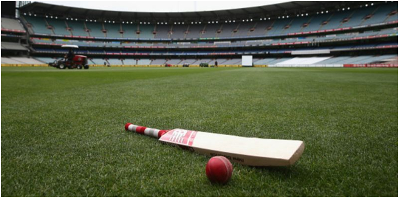 Cricket