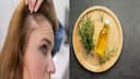 Hair Care: జుట్టు ఒత్తుగా, బలంగా  పెరగాలా? ఈ నూనె రాస్తే చాలు!