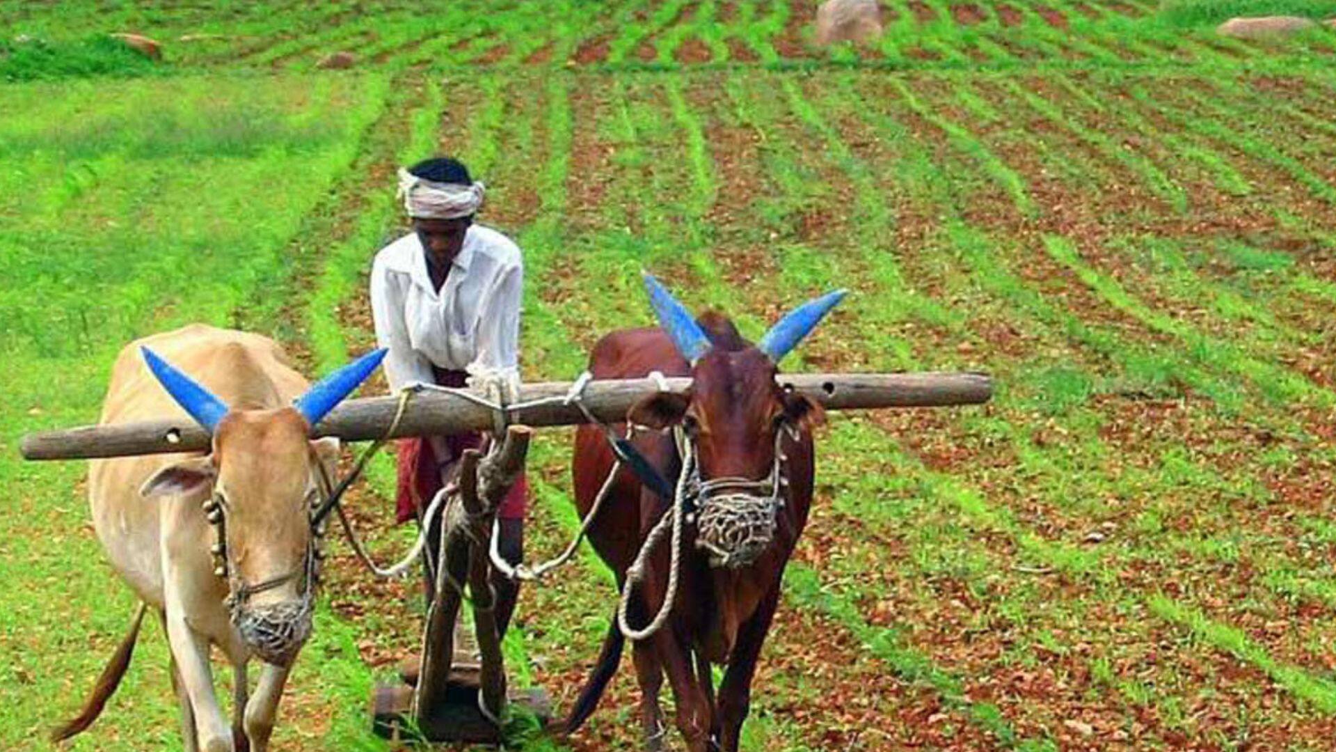 Andhra Pradesh: అన్నదాత సుఖీభవ పథకం లిస్ట్‌లో మీ పేరు ఉందో లేదో ఇలా తెలుసుకోండి...చాలా సింపుల్‌!