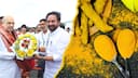 National Turmeric Board: జాతీయ పసుపు బోర్డు ఏర్పాటుతో రైతుల కష్టాలు తీరినట్లేనా?