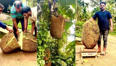 Asianet Image