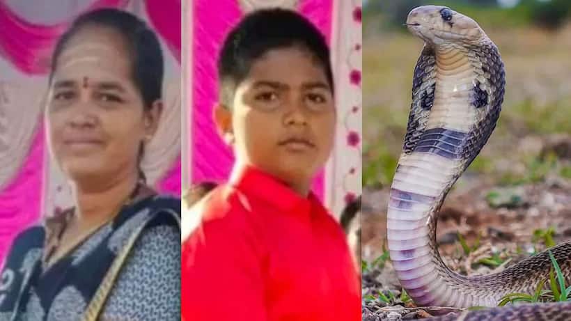 Asianet Image