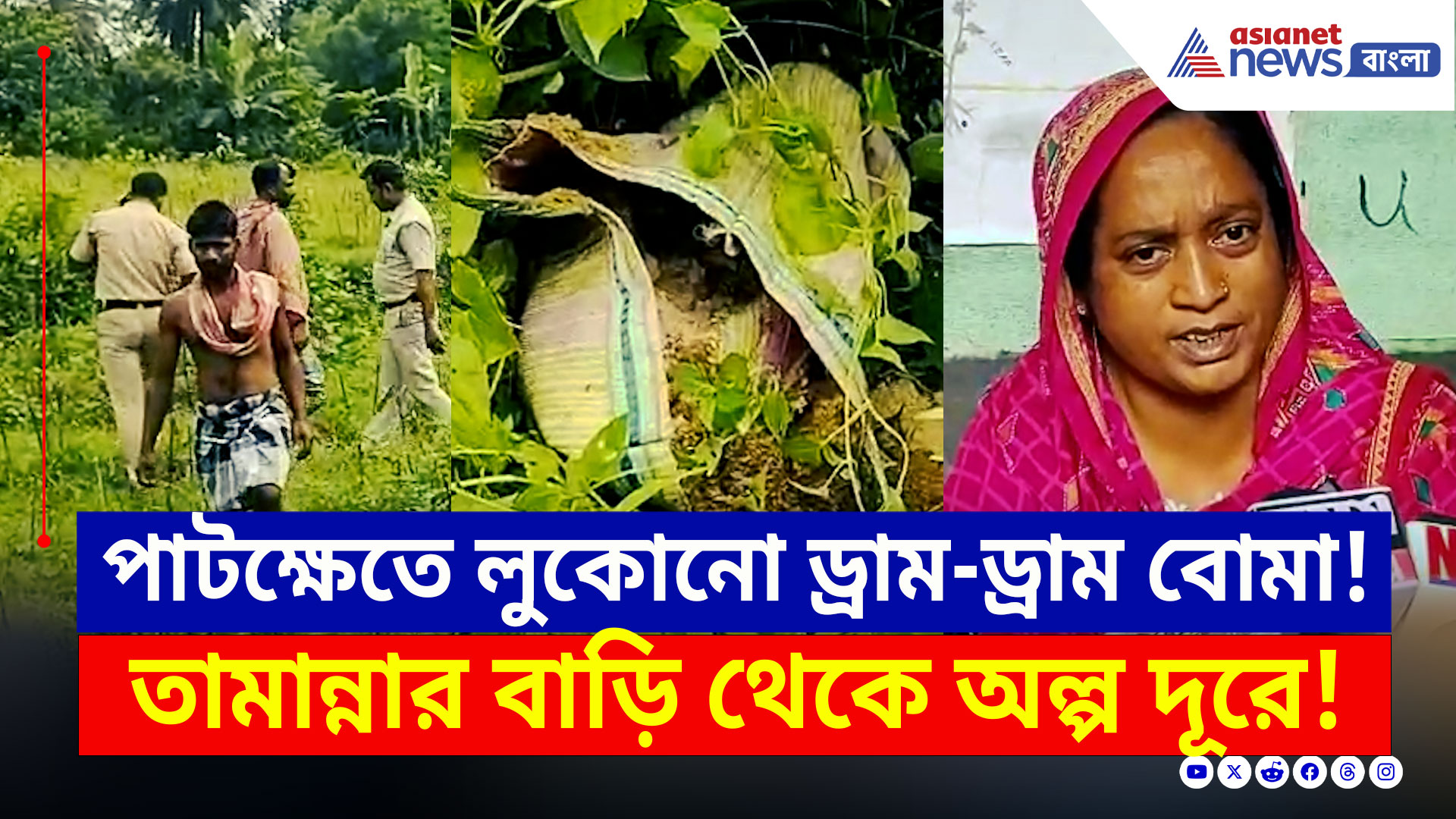 Kaliganj Nadia : পাটক্ষেতে ড্রাম, বালতি, ব্যাগে লুকিয়ে রেখেছিল! সামান্য দূরেই তামান্নার বাড়ি