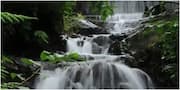 Top 3 Highest Waterfalls in India: A Monsoon Must-See