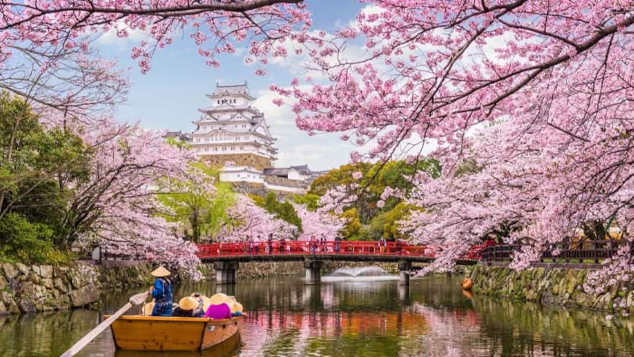 Travel Guide: 7 countries to visit in July for once in a lifetime experience