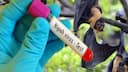 Kerala updates Nipah contact list, 425 people under surveillance in three districts