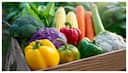 Rainy Season Hacks: How to store vegetables and keep them fresh