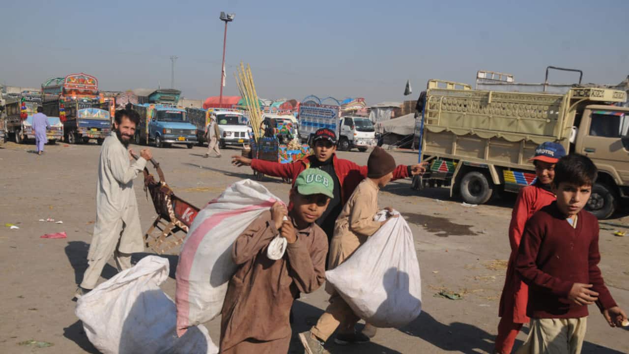 Pakistan's development rests on backs of child labourers as 1.6 million children exploited in Sindh