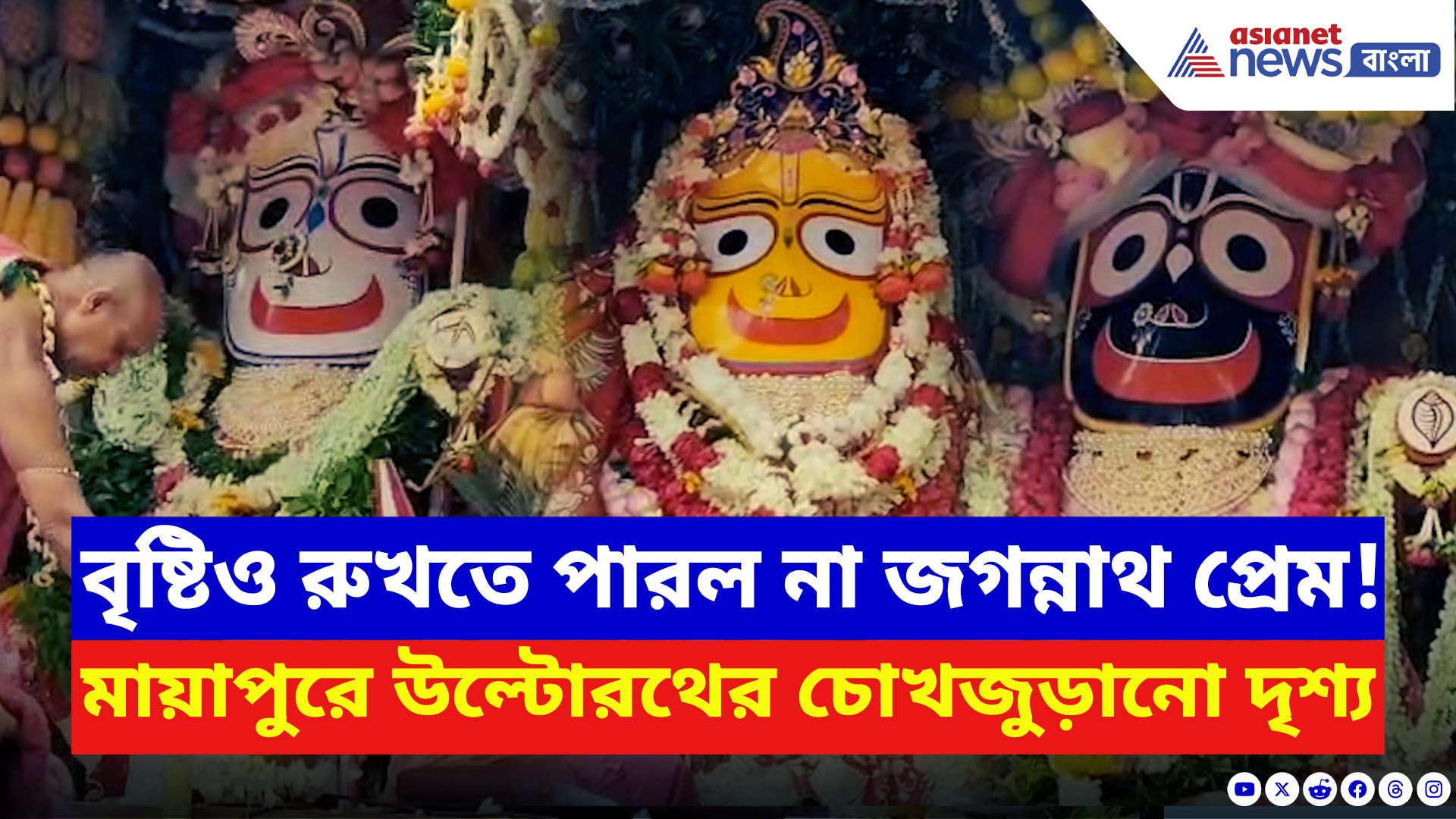 Nadia News: বৃষ্টিকে উপেক্ষা করে লাখো ভক্তের ঢল! মায়াপুর ইসকনে উল্টোরথে উন্মাদনা তুঙ্গে