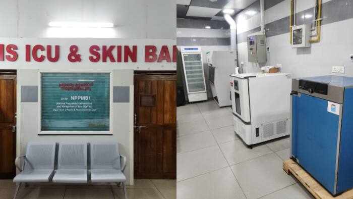 skin bank
