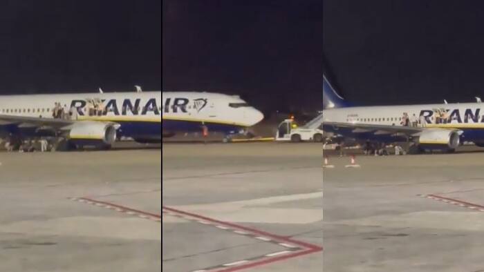 rayanair