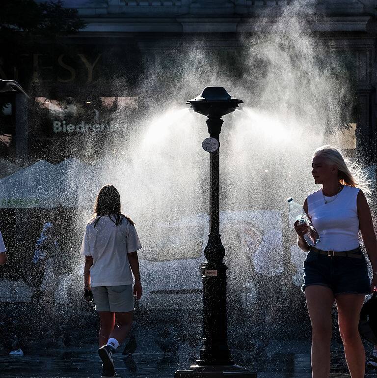 Human-driven climate change made European heatwave up to 4C hotter: Study