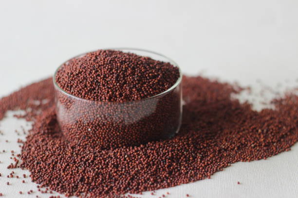 Millets for Children