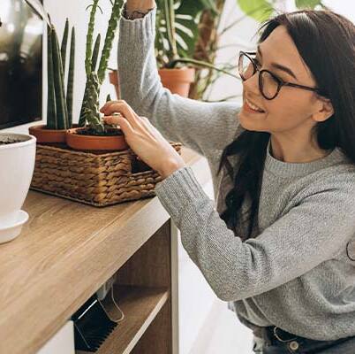Gardening Guide: 7 common mistakes beginners make during indoor gardening