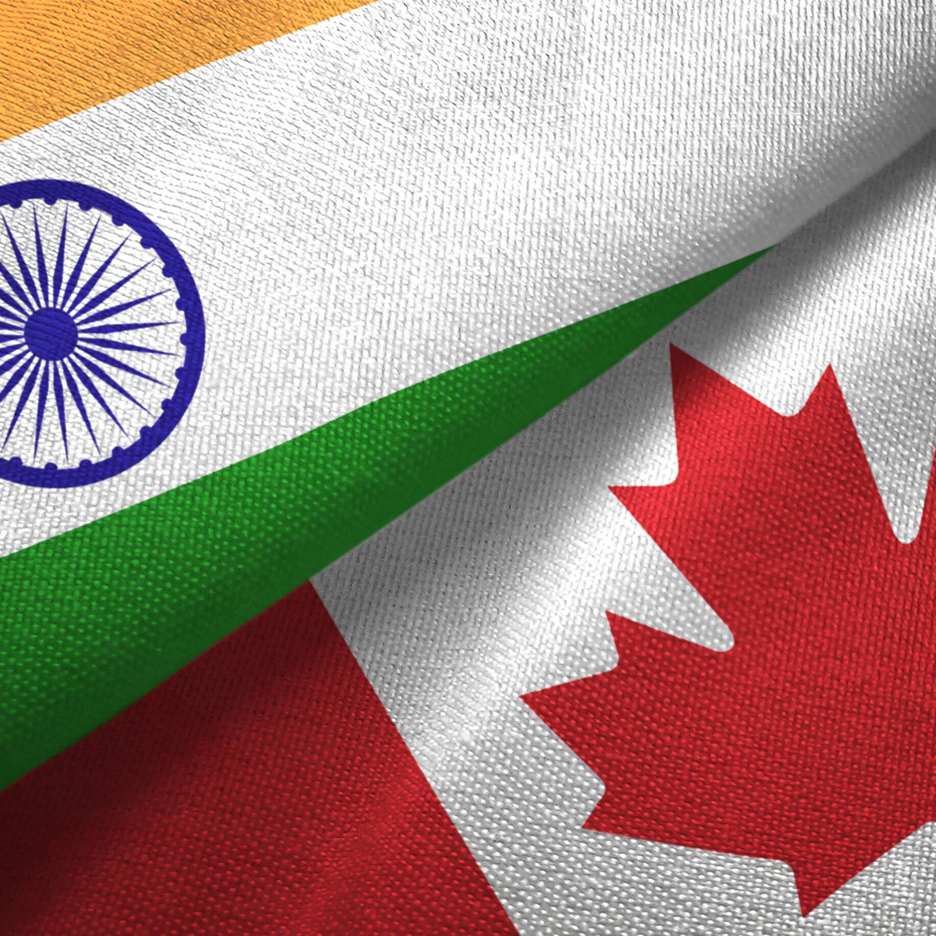 Canada universities suffer: Why falling Indian student numbers are leading to layoffs