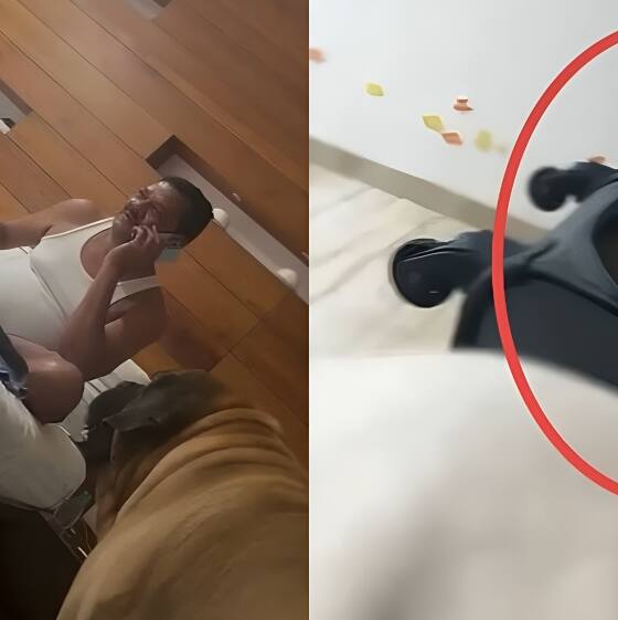Maharashtra minister caught on video with bag of cash? Sanjay Raut, Aaditya Thackeray slam Shirsat
