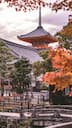 Travel Guide: 7 must visit destinations across the world