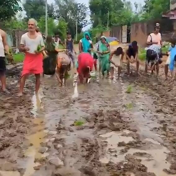 Fed up MP villagers plant paddy on muddy road to protest delay in road construction (WATCH)