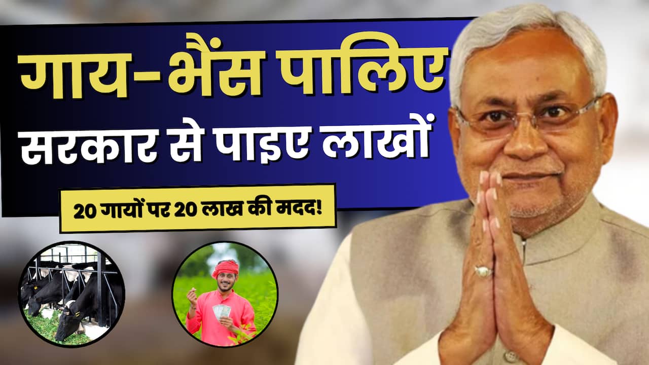 bihar dairy subsidy scheme 2025 application details benefits  