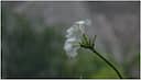 Monsoon Magic: 7 diet tips to boost immunity this season