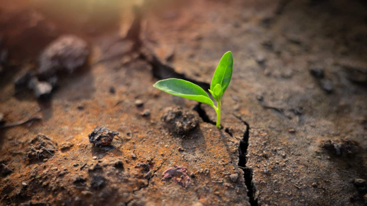 How Ancient African Communities Outsmarted Climate Change And Why That Matters Now