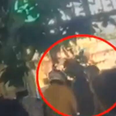 Bengaluru: Biklu Shiva Hacked to Death on Street, Shocking Murder Video Emerges