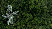 How AI Is Helping Tanzanian Farmers Fight Climate Change and Save Their Crops