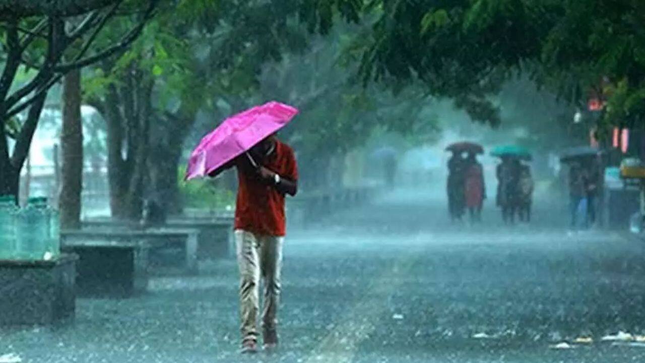 Heavy Rain Alert