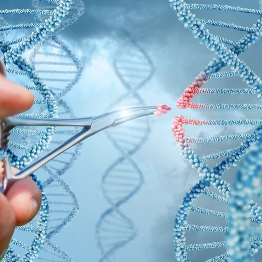 Can Gene Editing Reverse Extinction Risk? Scientists Explore Breakthrough in Wildlife Conservation