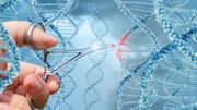 Can Gene Editing Reverse Extinction Risk? Scientists Explore Breakthrough in Wildlife Conservation