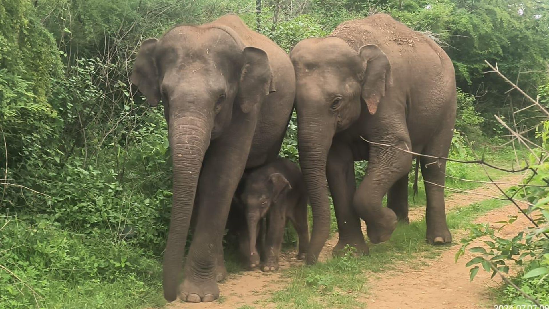 Bannerghatta Biological Park Bannerghatta Biological Park