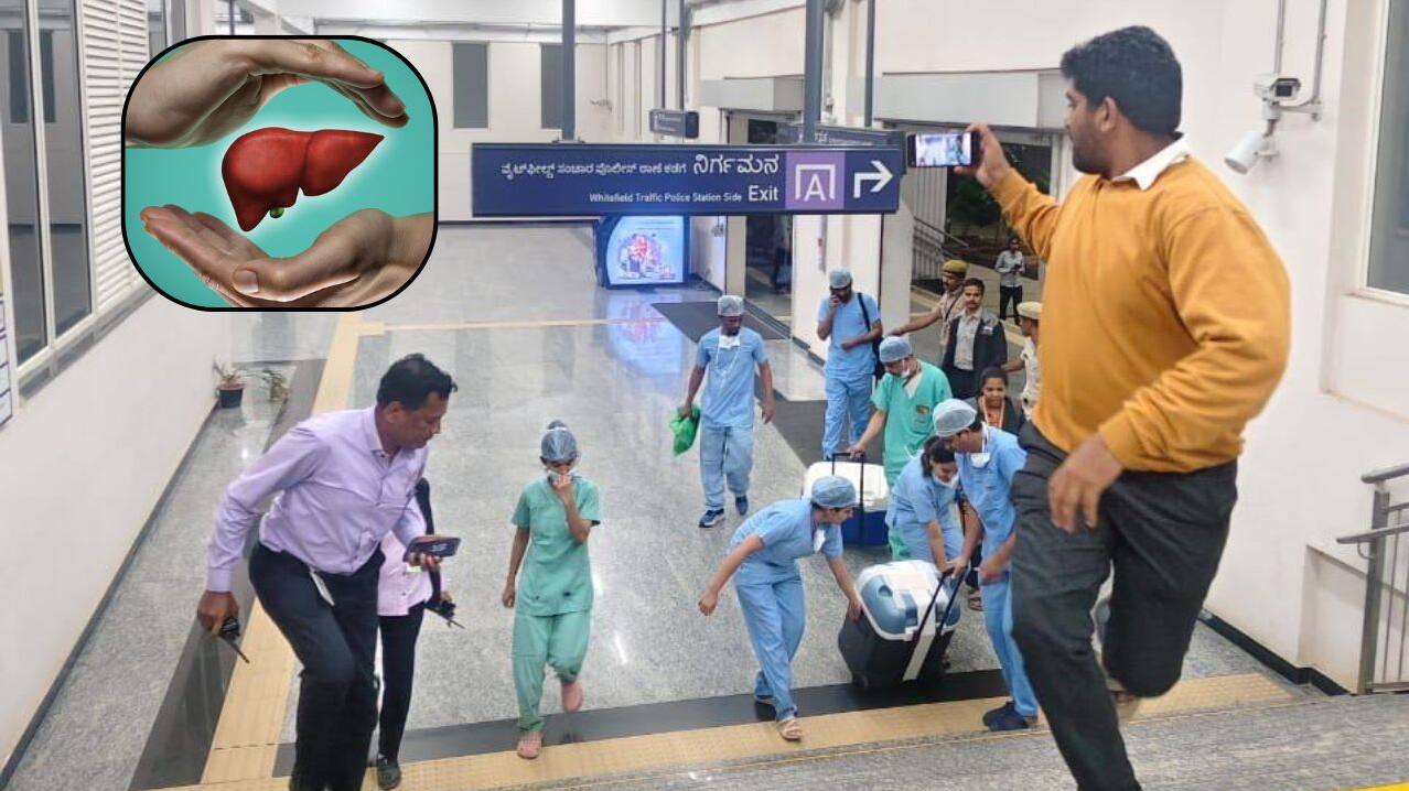 Bengaluru Namma Metro Liver transportation