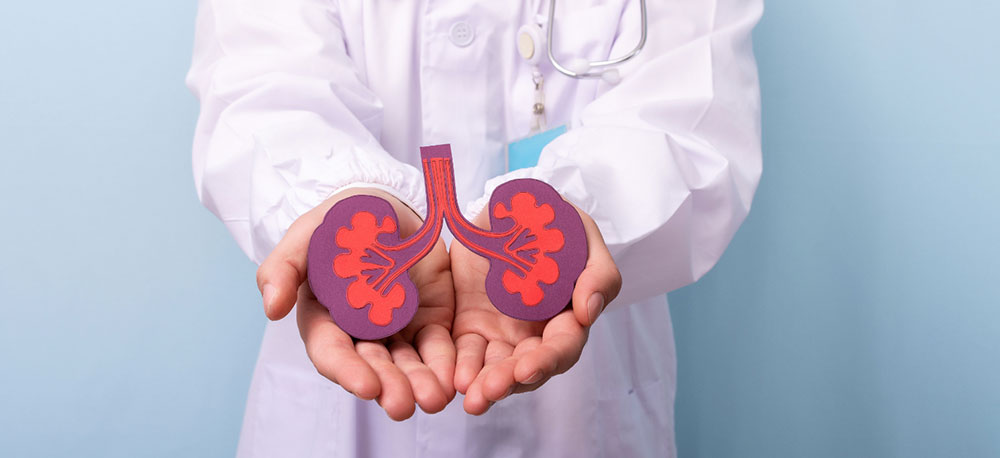 health tips foods you must eat to naturally improve kidney health