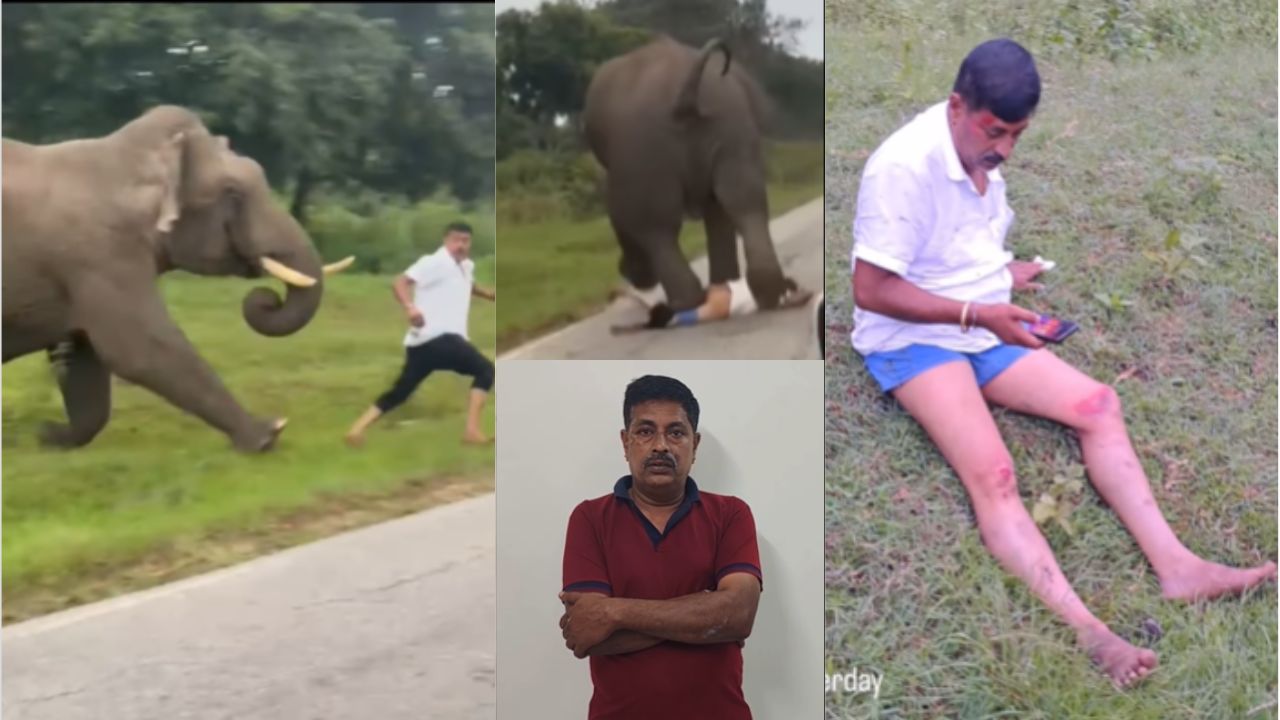 Chamarajanagar Elephant Attack Update Chamarajanagar Elephant Attack Update