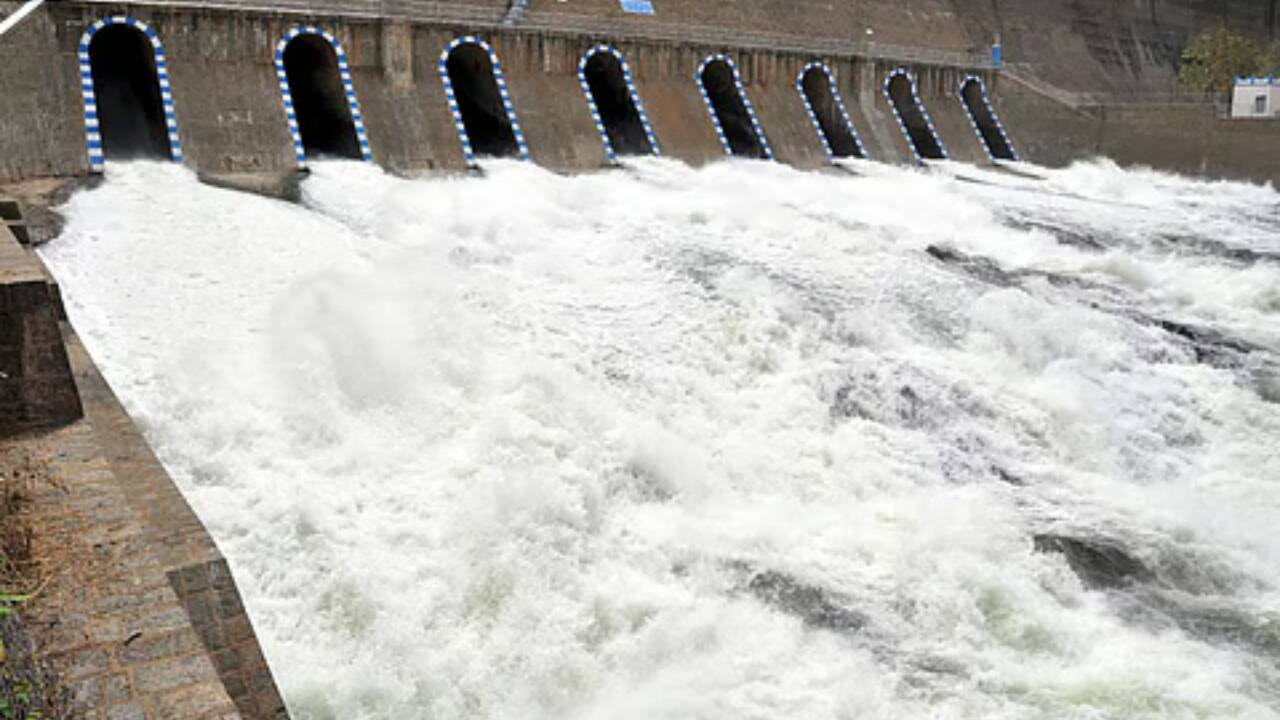 DAm