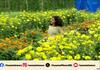 Good organic vegetables are ready for Onam